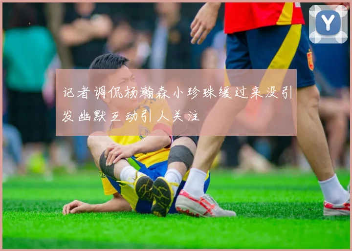 记者调侃杨瀚森小珍珠缓过来没引发幽默互动引人关注