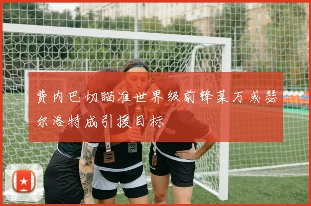 费内巴切瞄准世界级前锋莱万或瑟尔洛特成引援目标