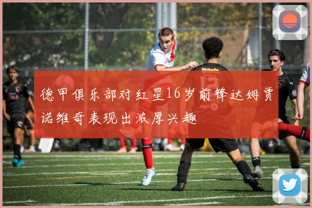 德甲俱乐部对红星16岁前锋达姆贾诺维奇表现出浓厚兴趣