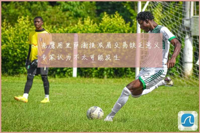 老鹰用里萨谢换浓眉交易缺乏意义专家认为不太可能发生