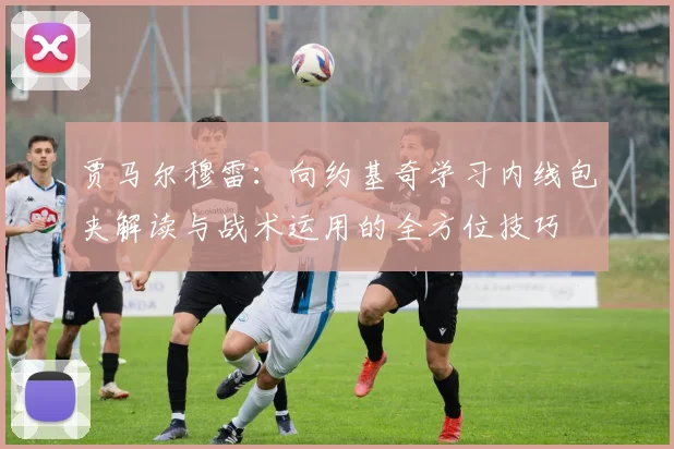 贾马尔穆雷：向约基奇学习内线包夹解读与战术运用的全方位技巧