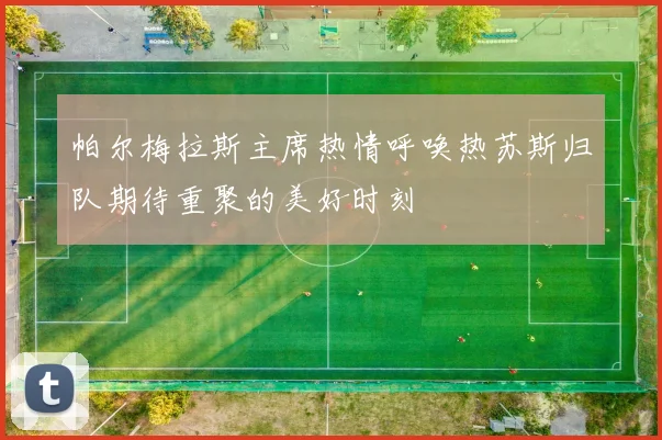 帕尔梅拉斯主席热情呼唤热苏斯归队期待重聚的美好时刻